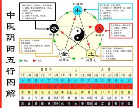 五行歸類表|中醫基礎/五行學說